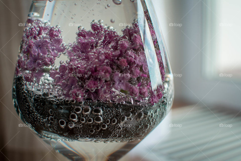 Close-up of a flower in tonic water