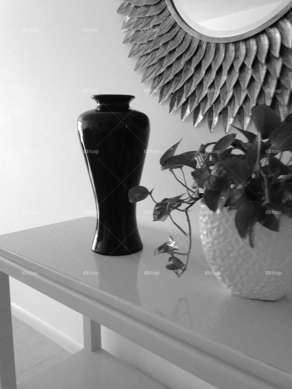 Plant and black vase