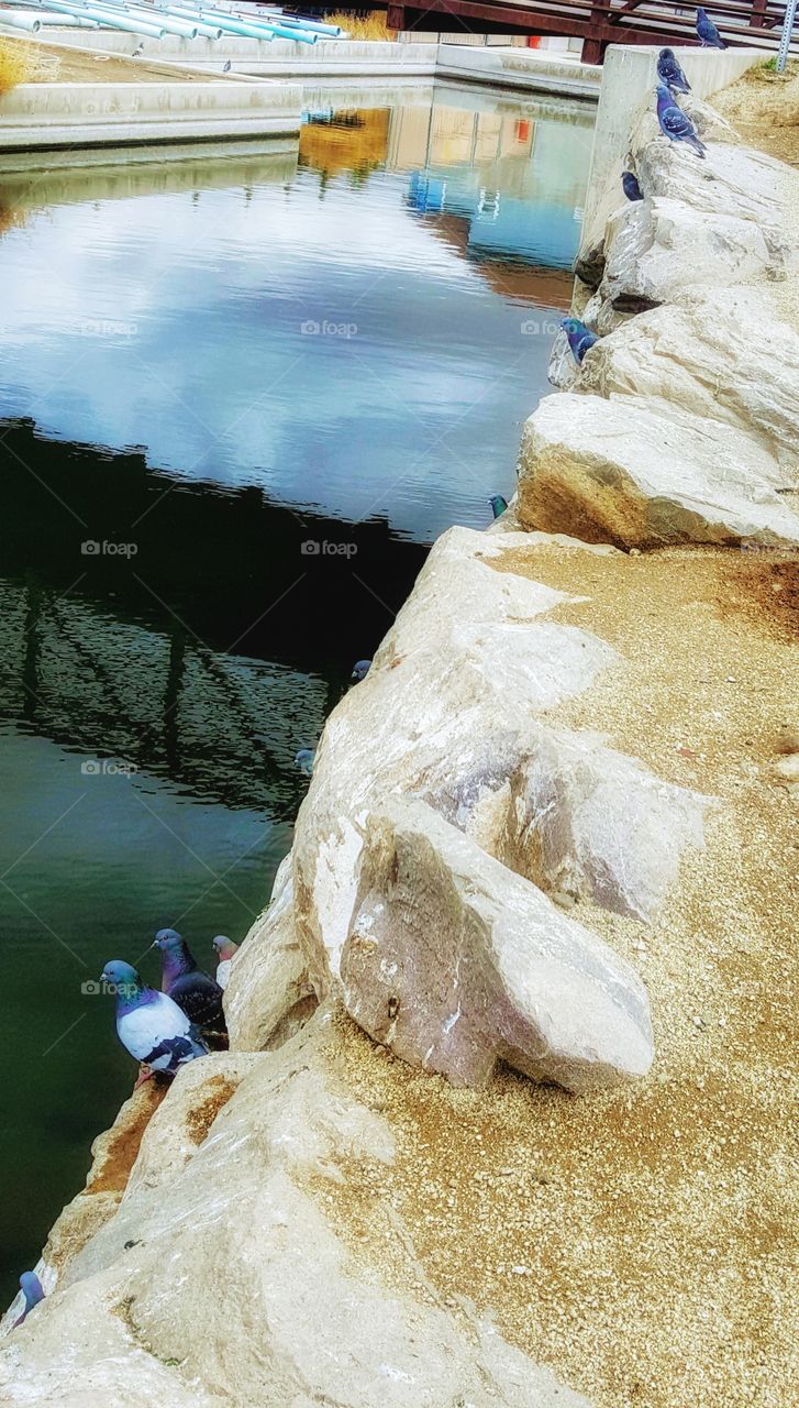 living BEAUTIFULLY & WONDERFULLY Made