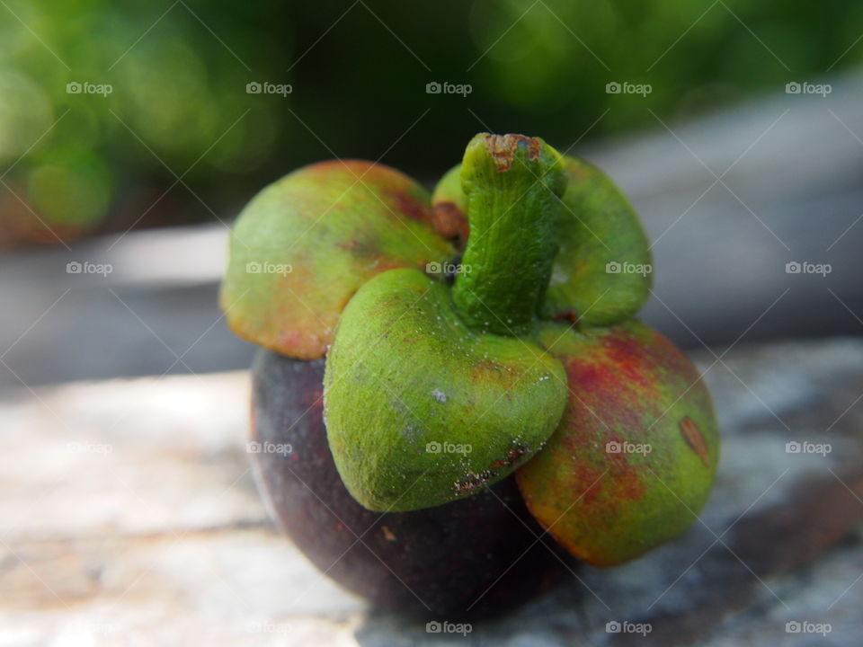 Mangosteen