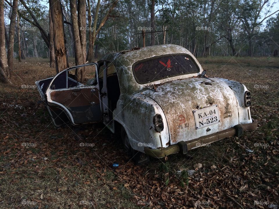 Abandoned car. India abandoned car on safari.