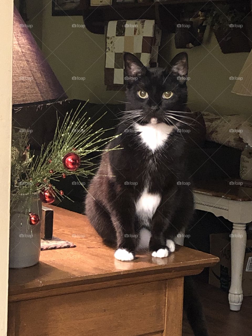 Poe being his gorgeous self. 