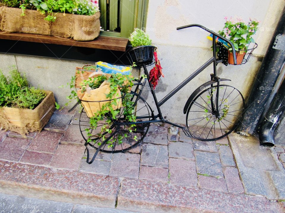 Garden on a bicycle 