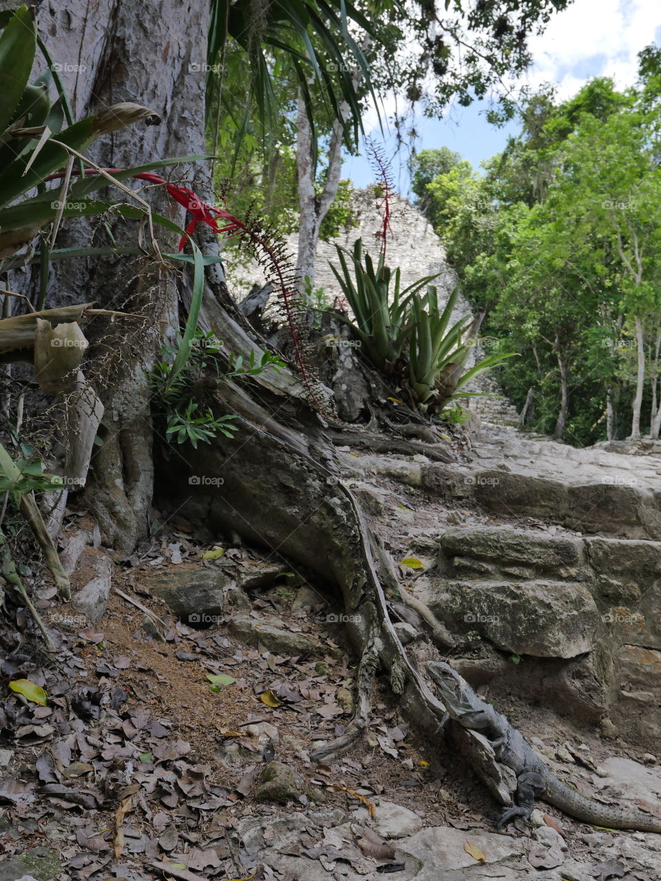 tourism in Riviera Maya