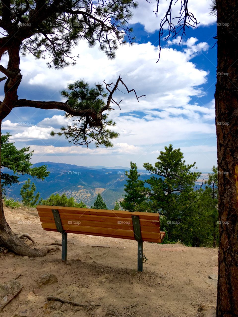 Empty bench on mountain