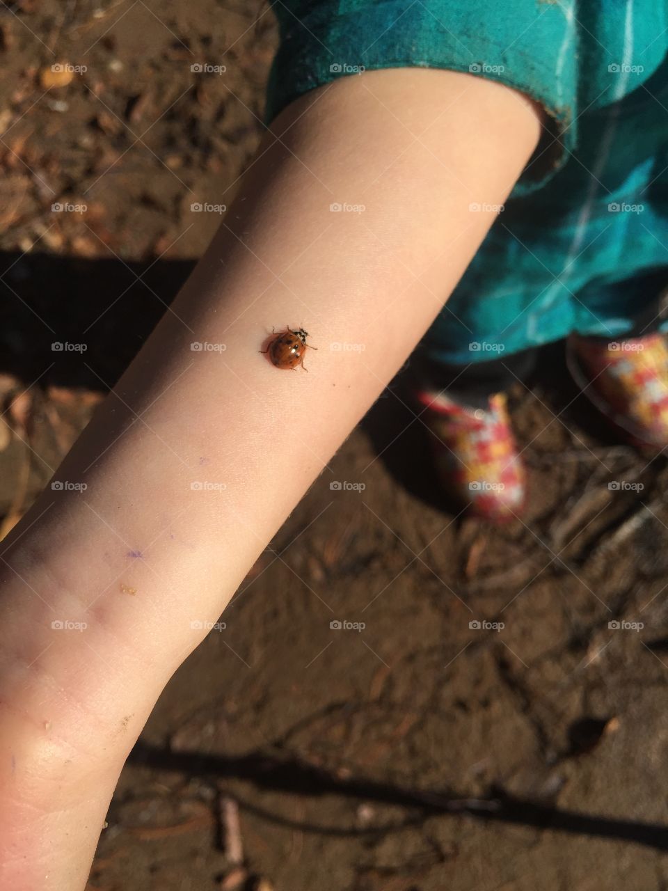 Ladybug friend 