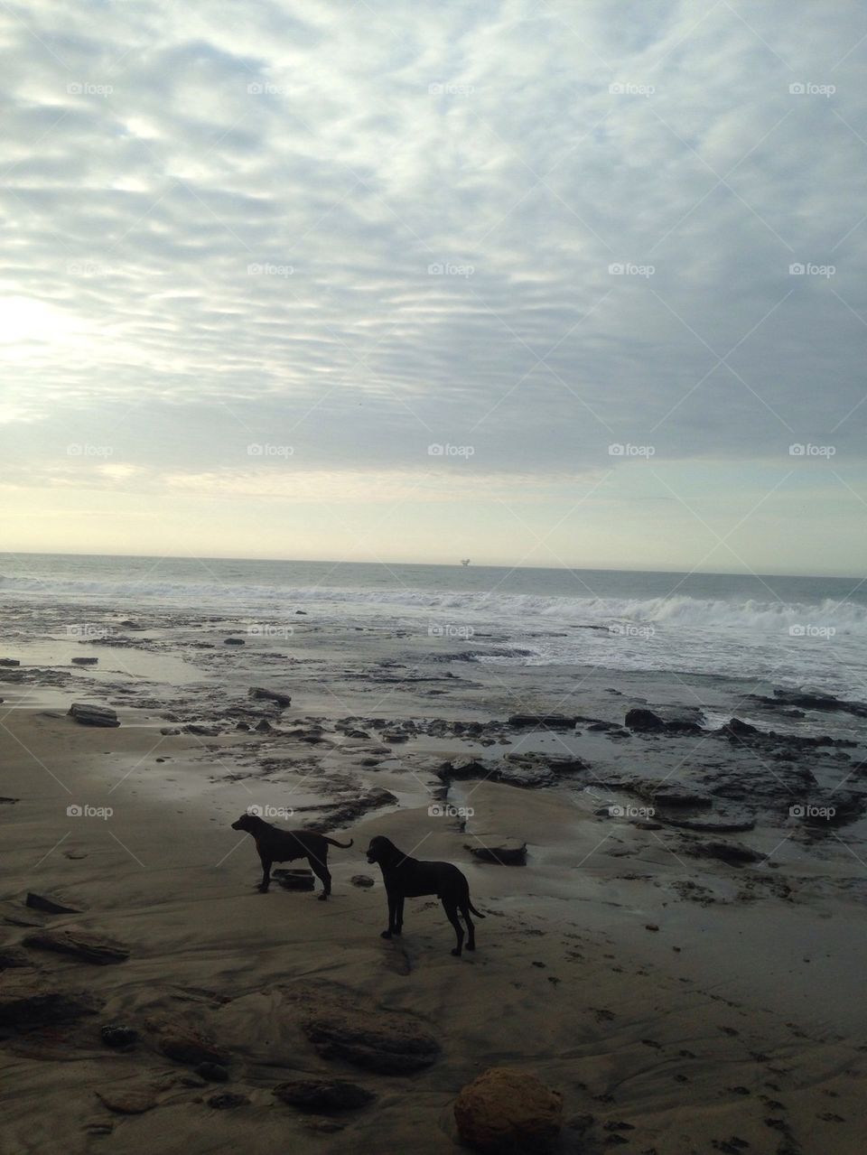 The end of the world