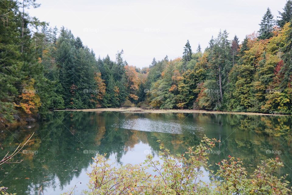 Autumn reflecting into the lake 