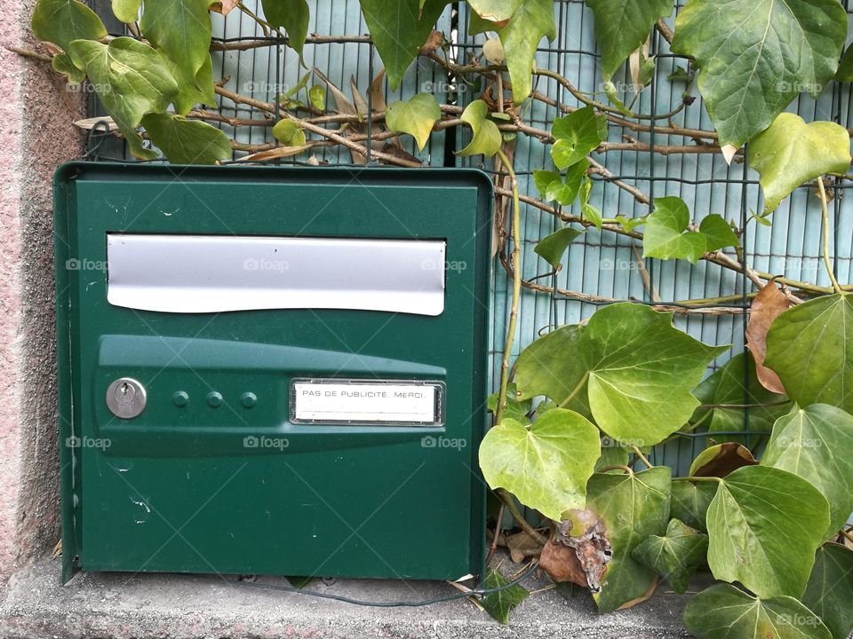 Green Mail Box