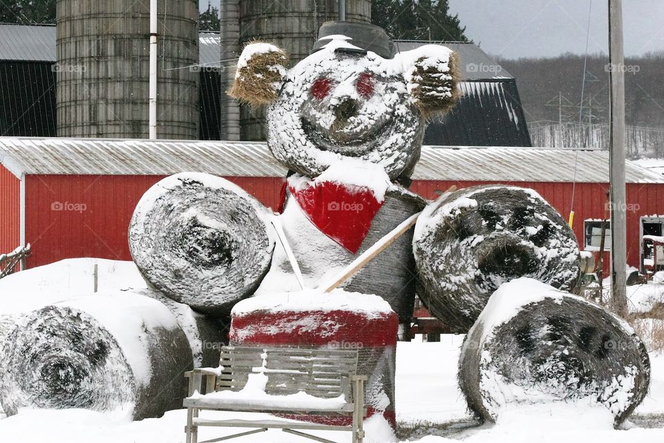 large bear of hay
