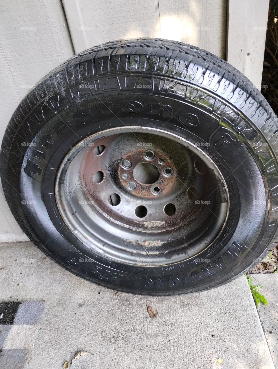 spare tire
Ram ProMaster Spare Tire
tire wet 
clean the shed