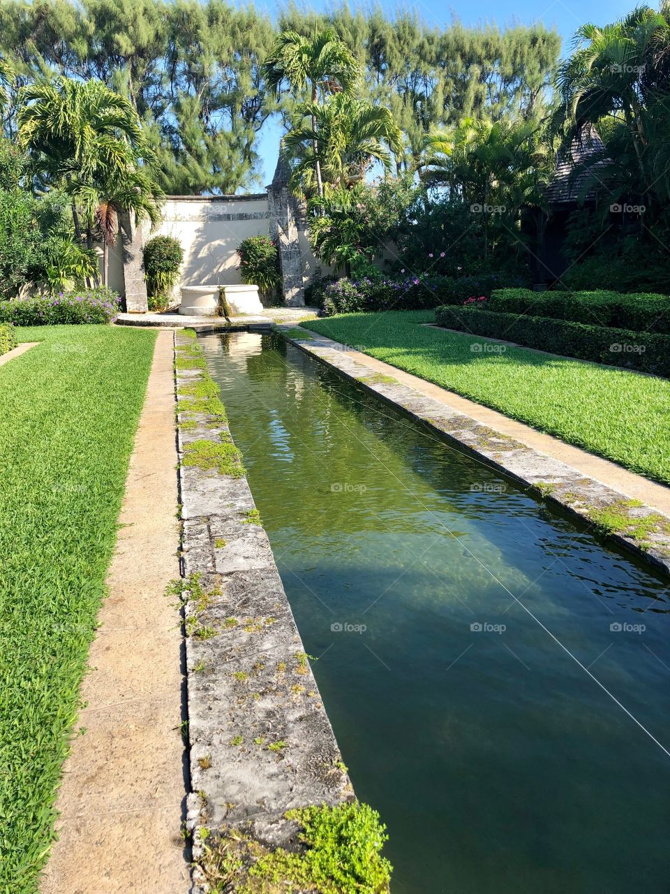 Fishes behind church