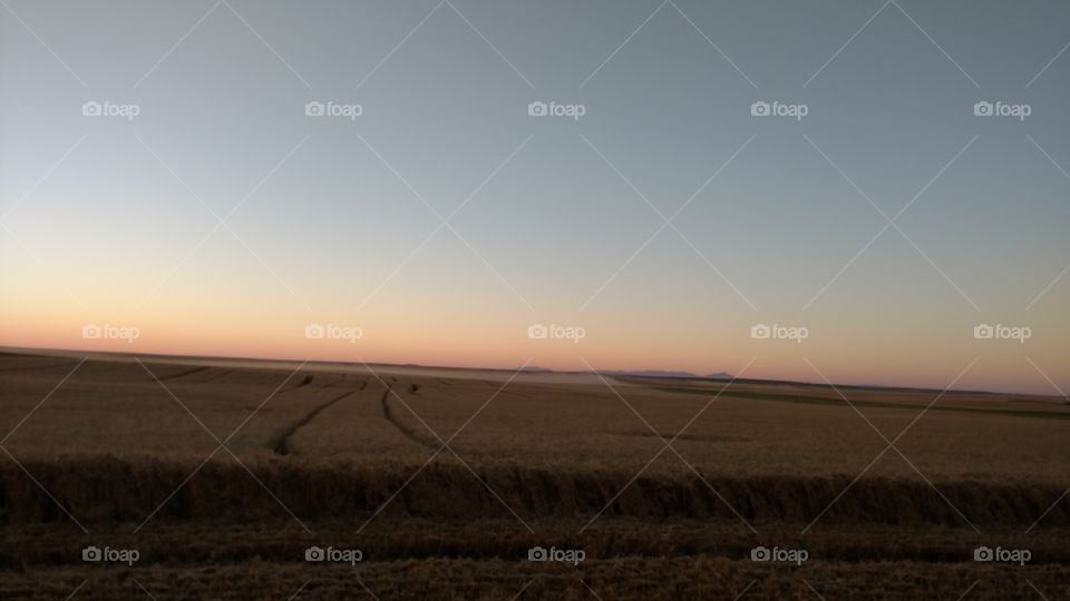 Landscape, Sunset, Desert, Agriculture, Farm