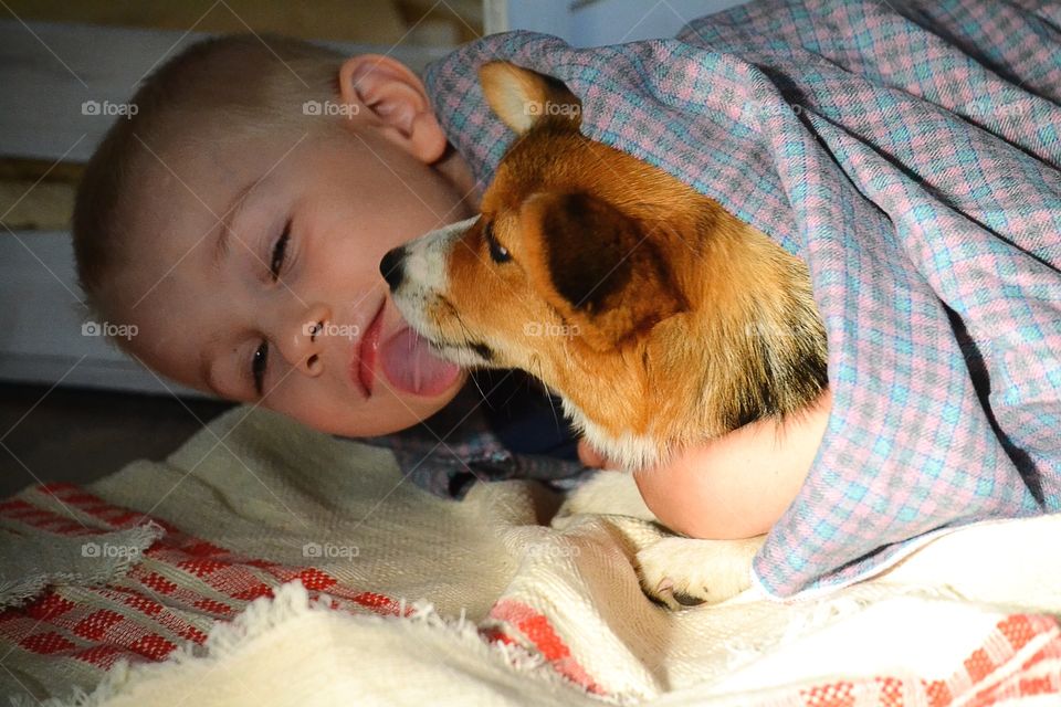 Boy and a pup . Cosy together