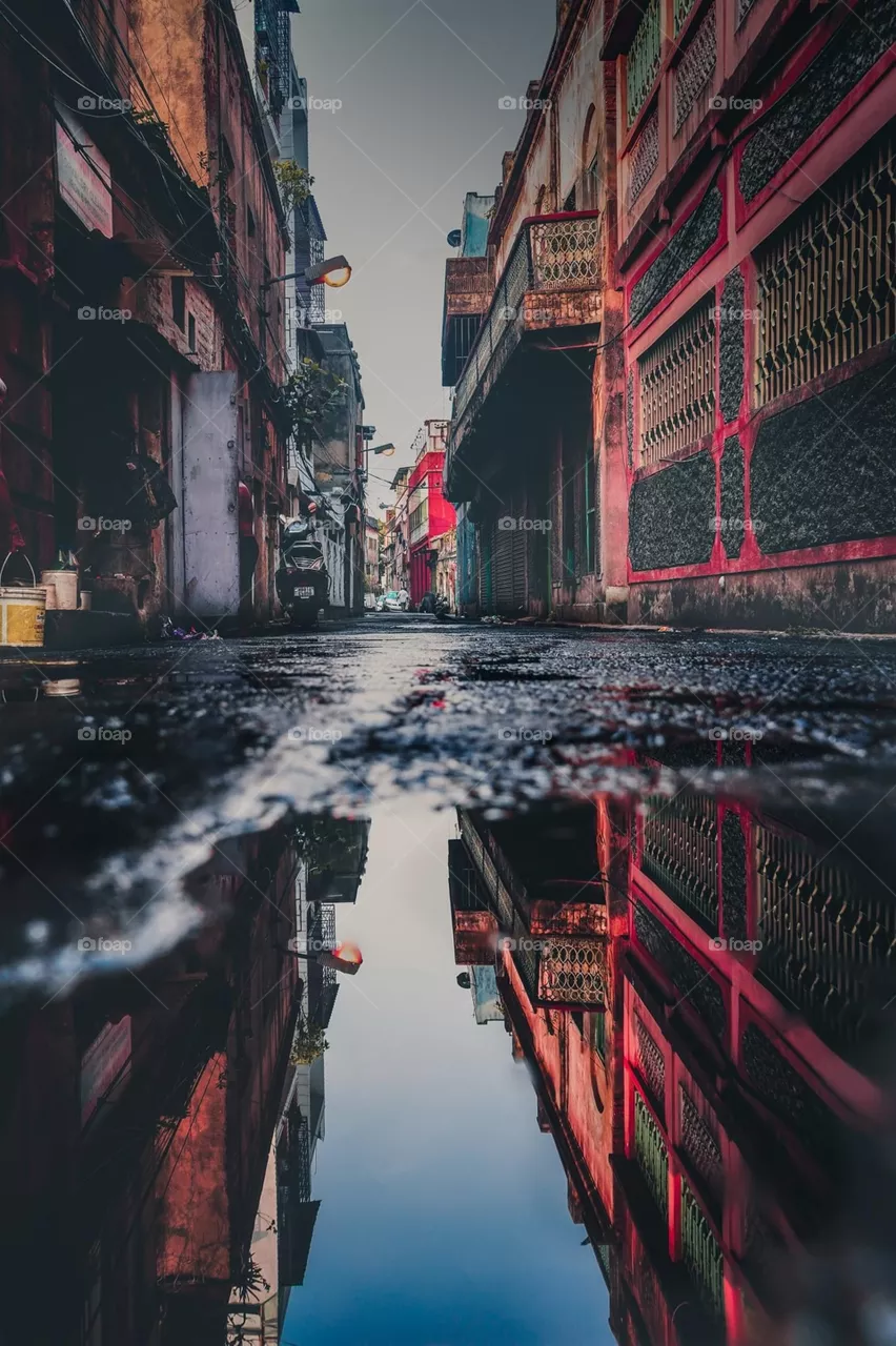 Reflection 