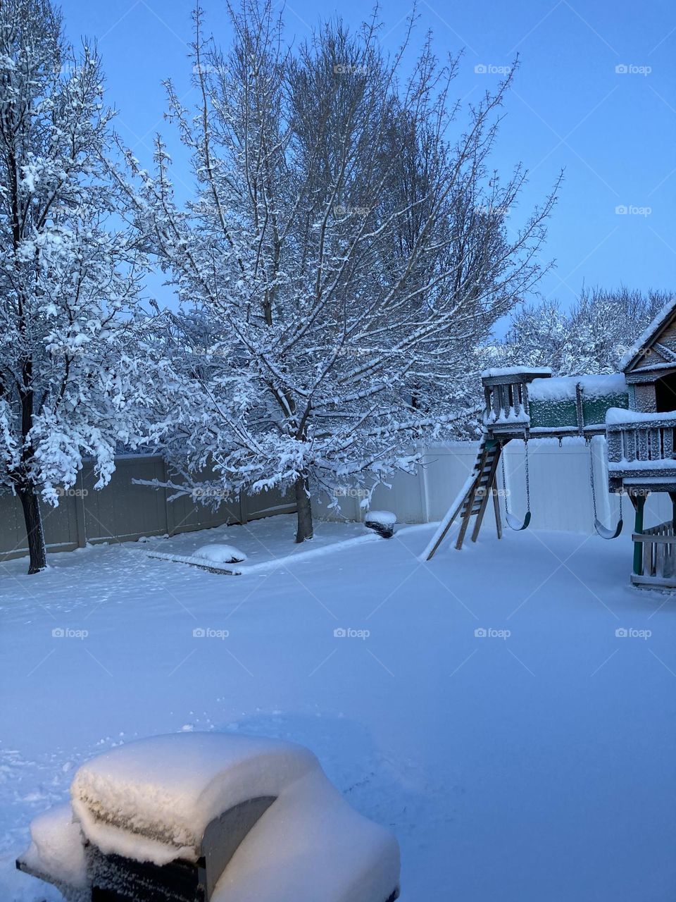 Snow in Backyard