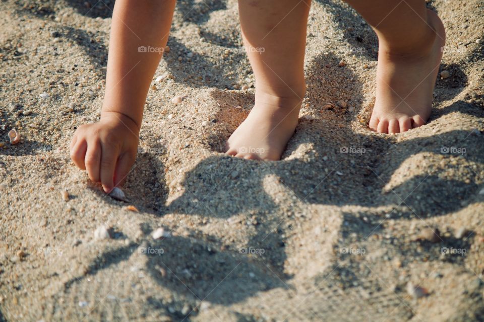 Collecting seashells by the seashore 