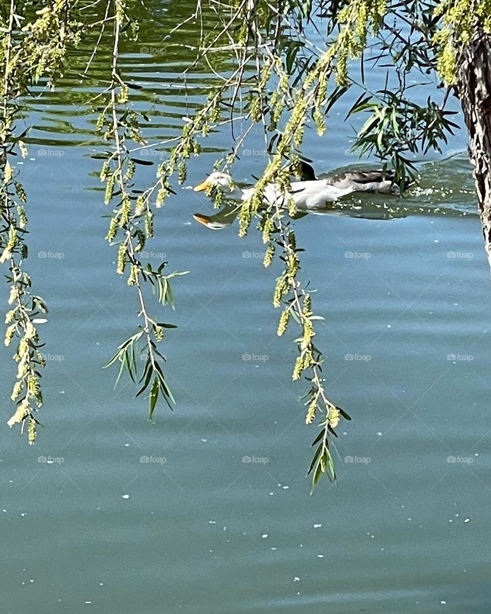 All the magic in the earth 🌍