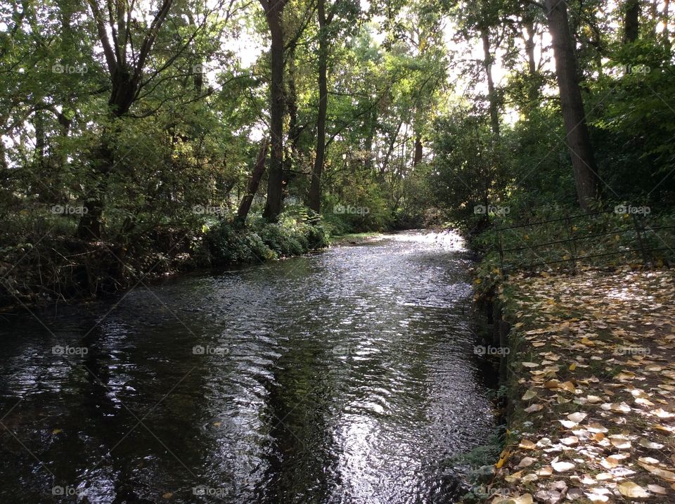 Beautiful river scene with trees and reflection in the water