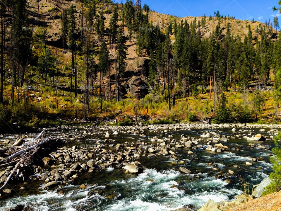 River flowing through rock in forest