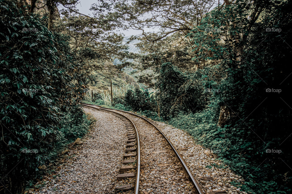 rails on the road