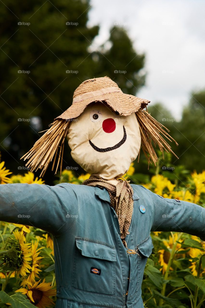 scarecrow