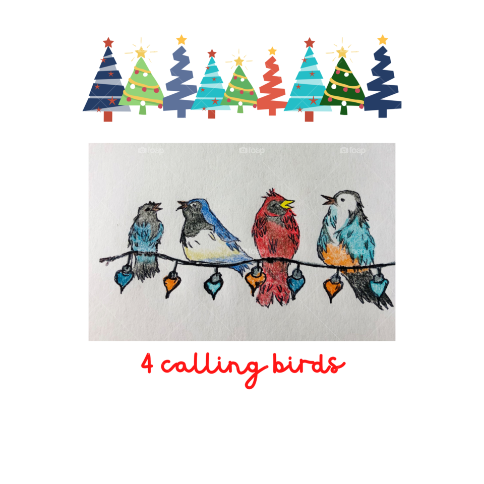 4 Calling Birds