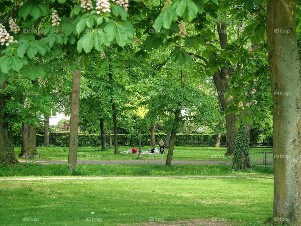 Picnic in city park