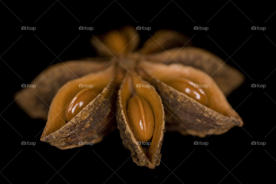 No Person, Grow, Still Life, Food, Invertebrate