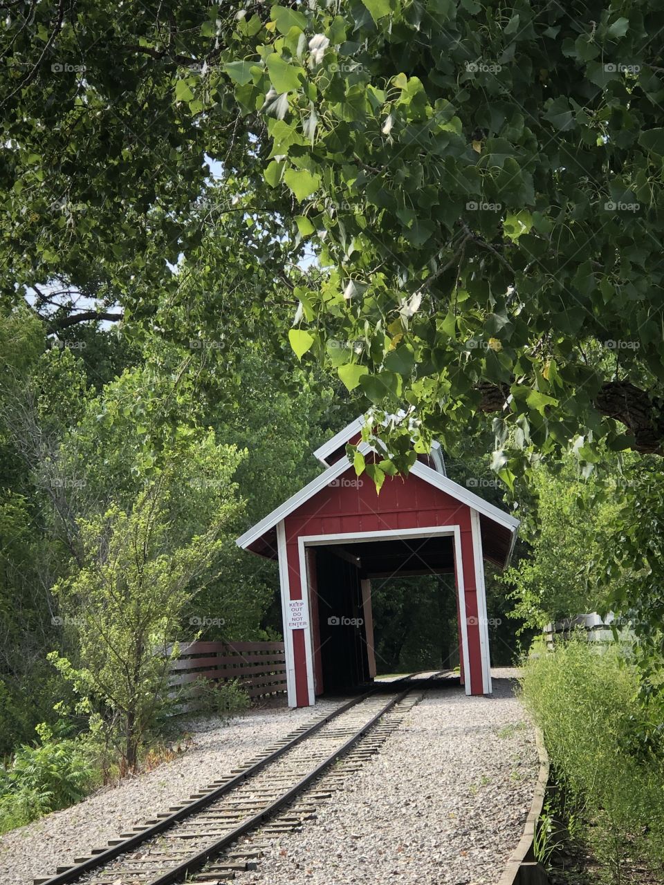 Watson park train bridge 