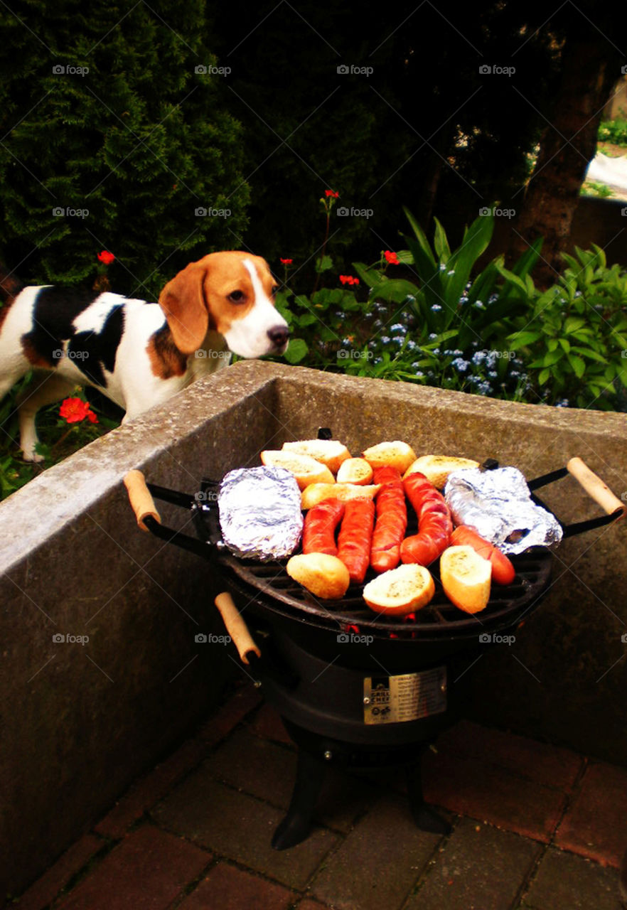 BBQ for All