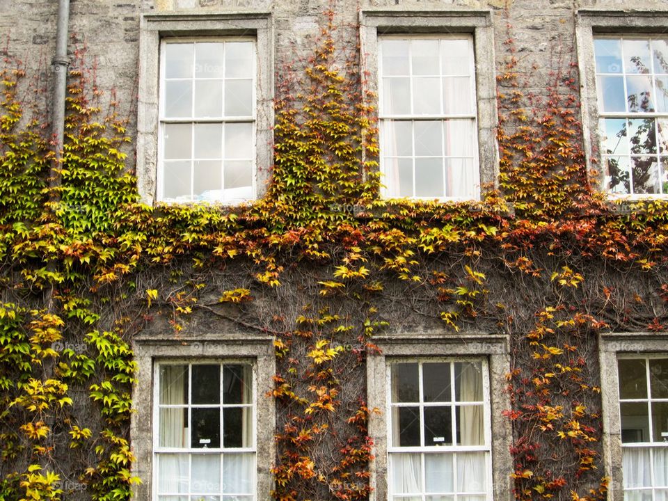 Trinity college