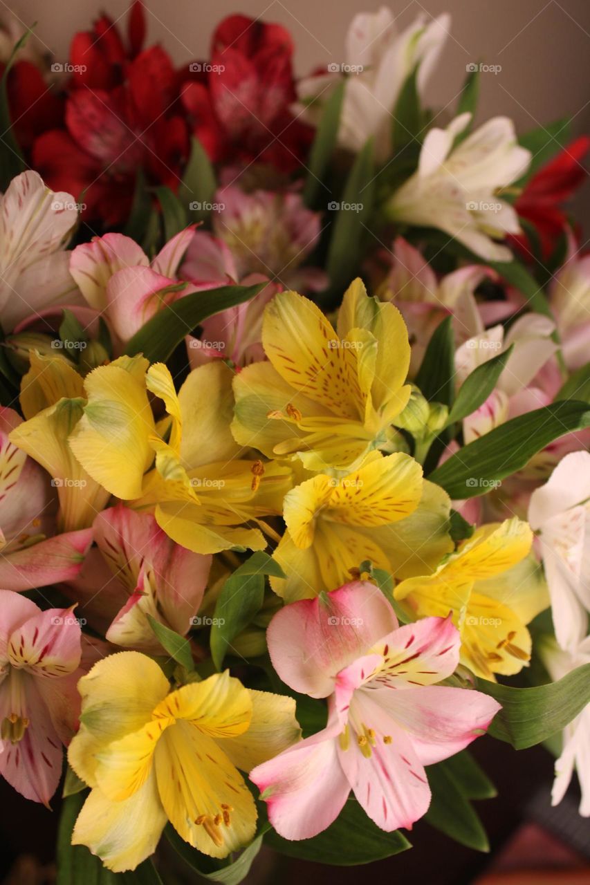 A colorful heart-warming bouquet 💐