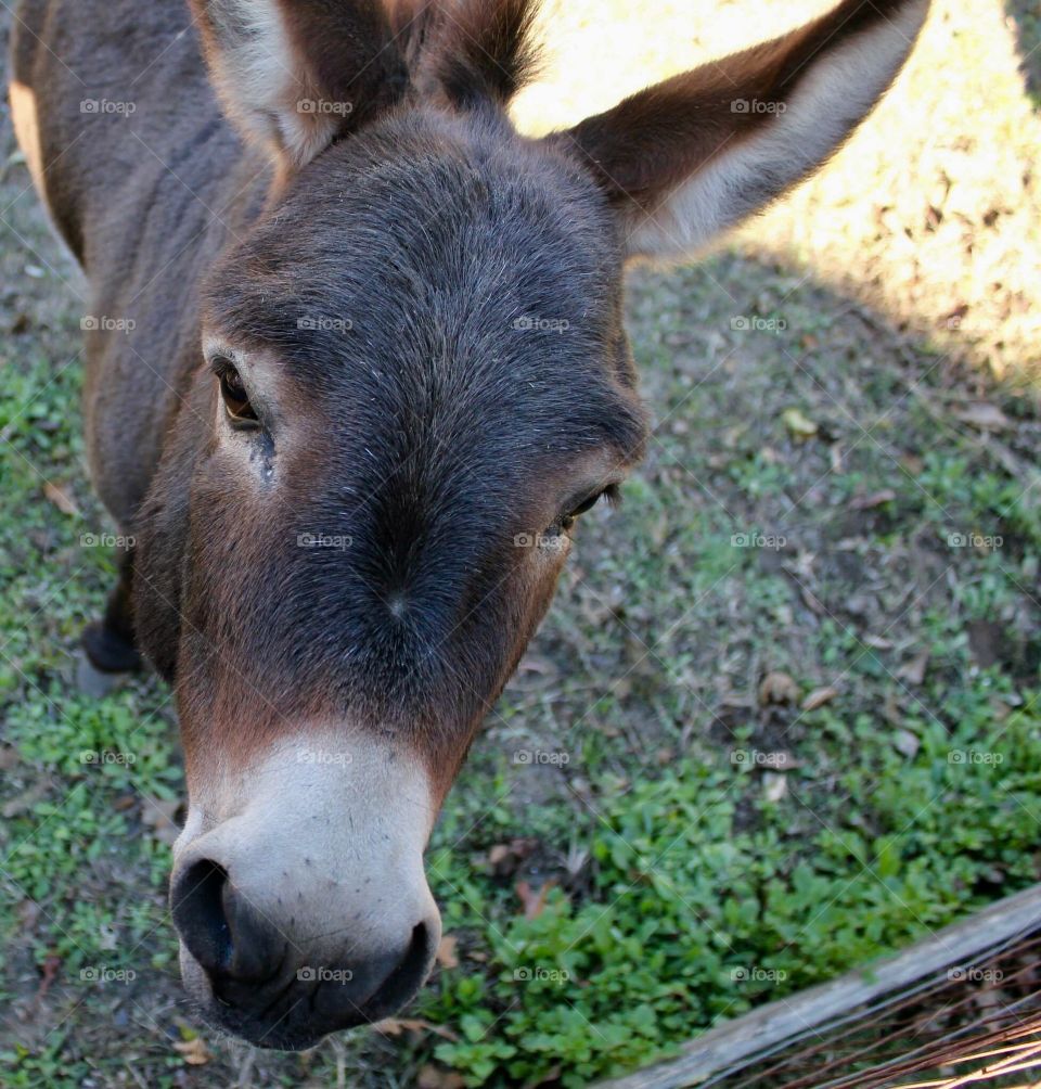 Sweet little man.