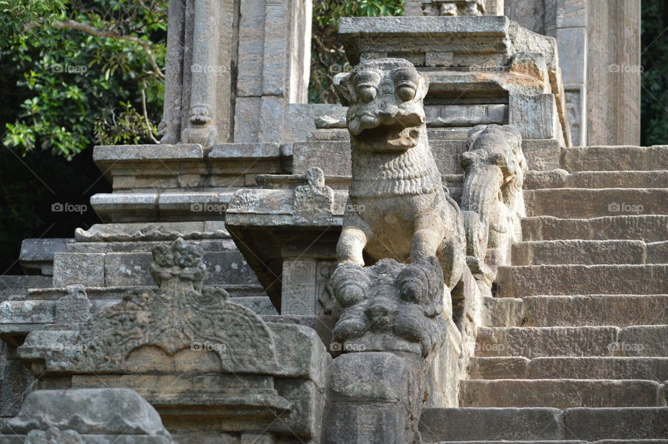 yapahuwa kingdom-lion statue-Sri lanka