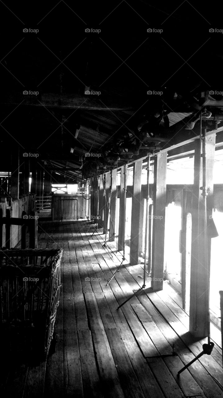 shearing shed