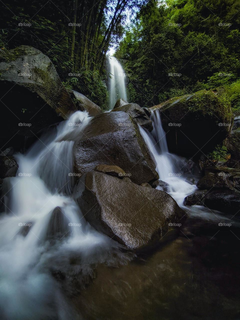 Enjoy the view of the waterfall filled with rocks and bamboo trees