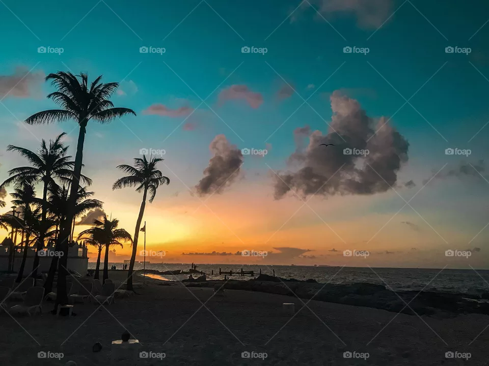 Sunset 