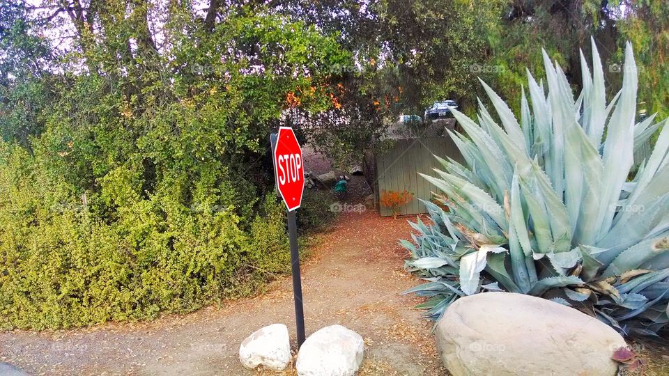 Stop. Random stop sign while camping