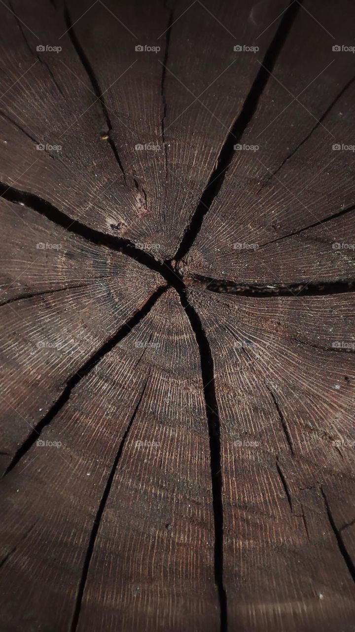 Macro photo wood texture