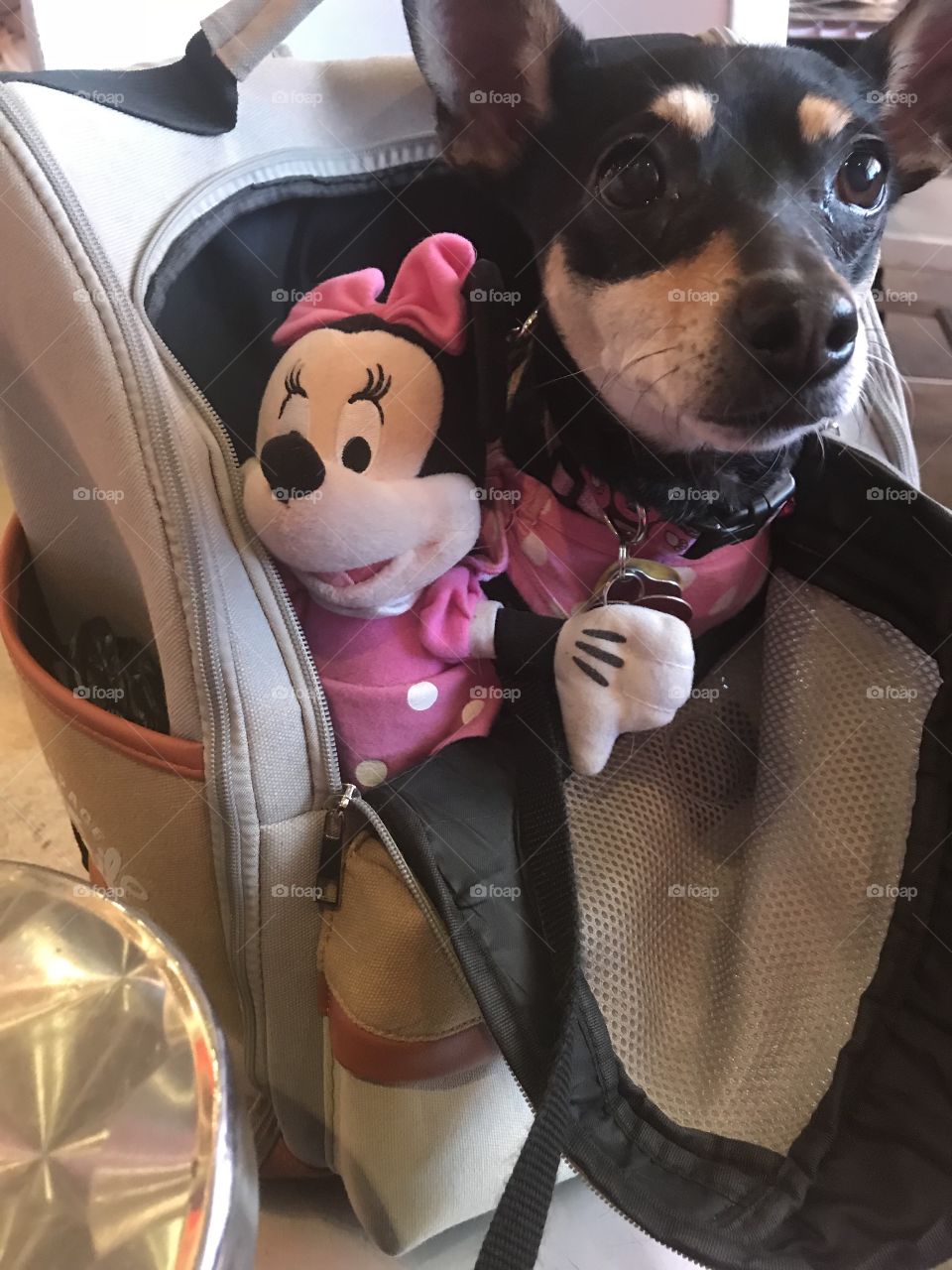 Which is the real Minnie?