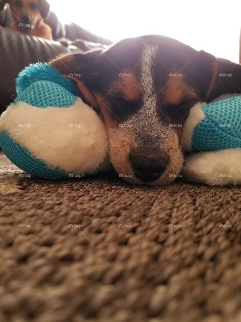 Playing with toys is such hard work!