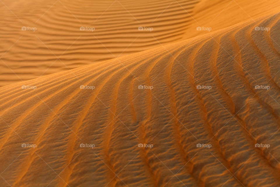 Sand dunes in desert