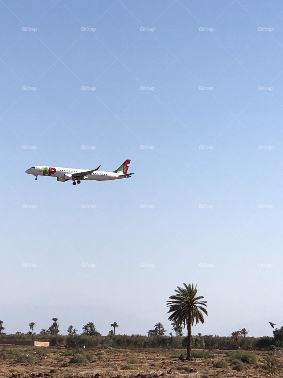 beautiful aircraft flying cross the blue sky