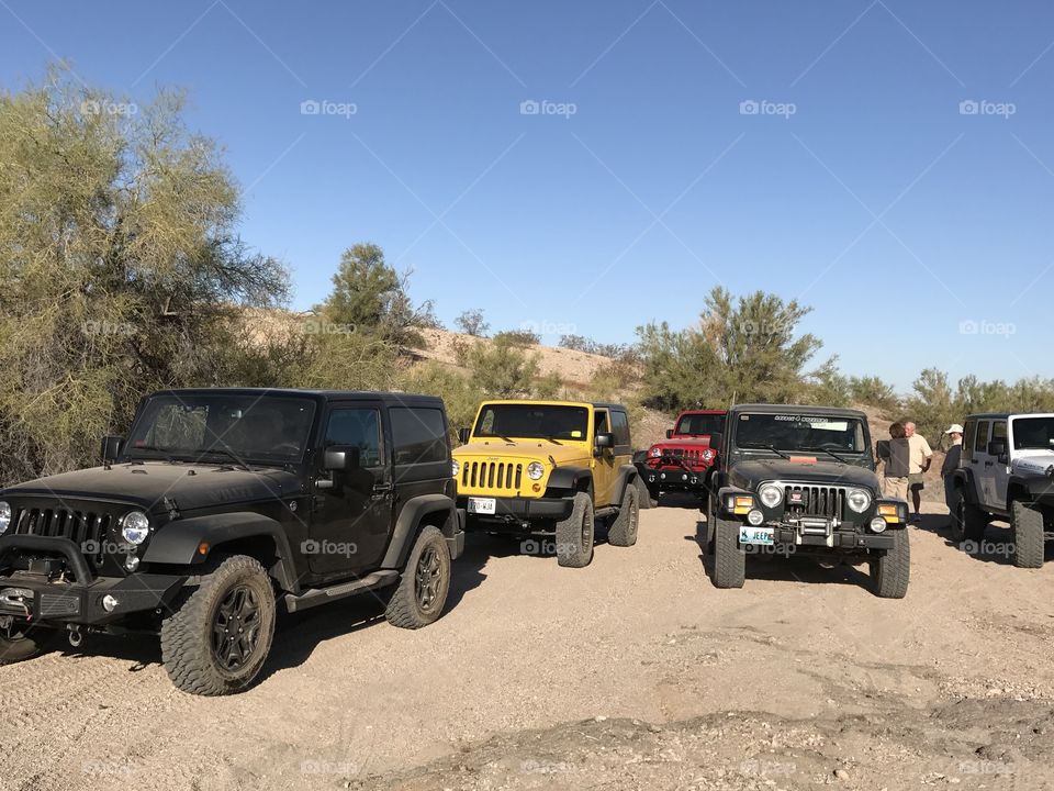 Playing in the Desert