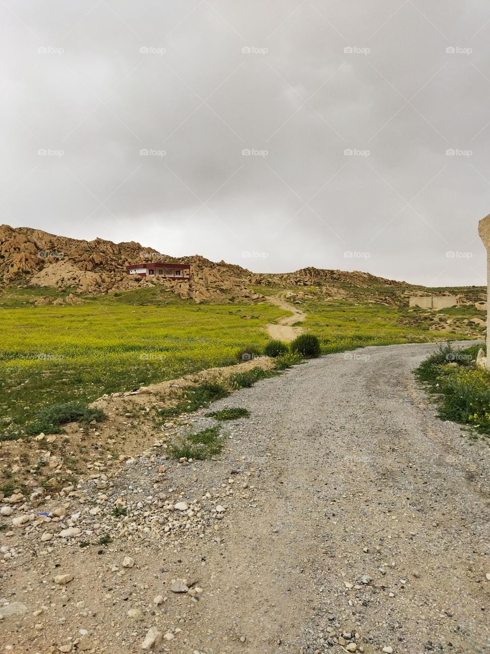 countryside road.