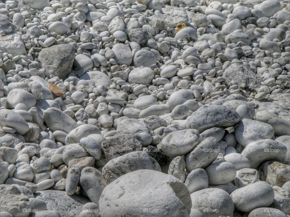 White pebbles