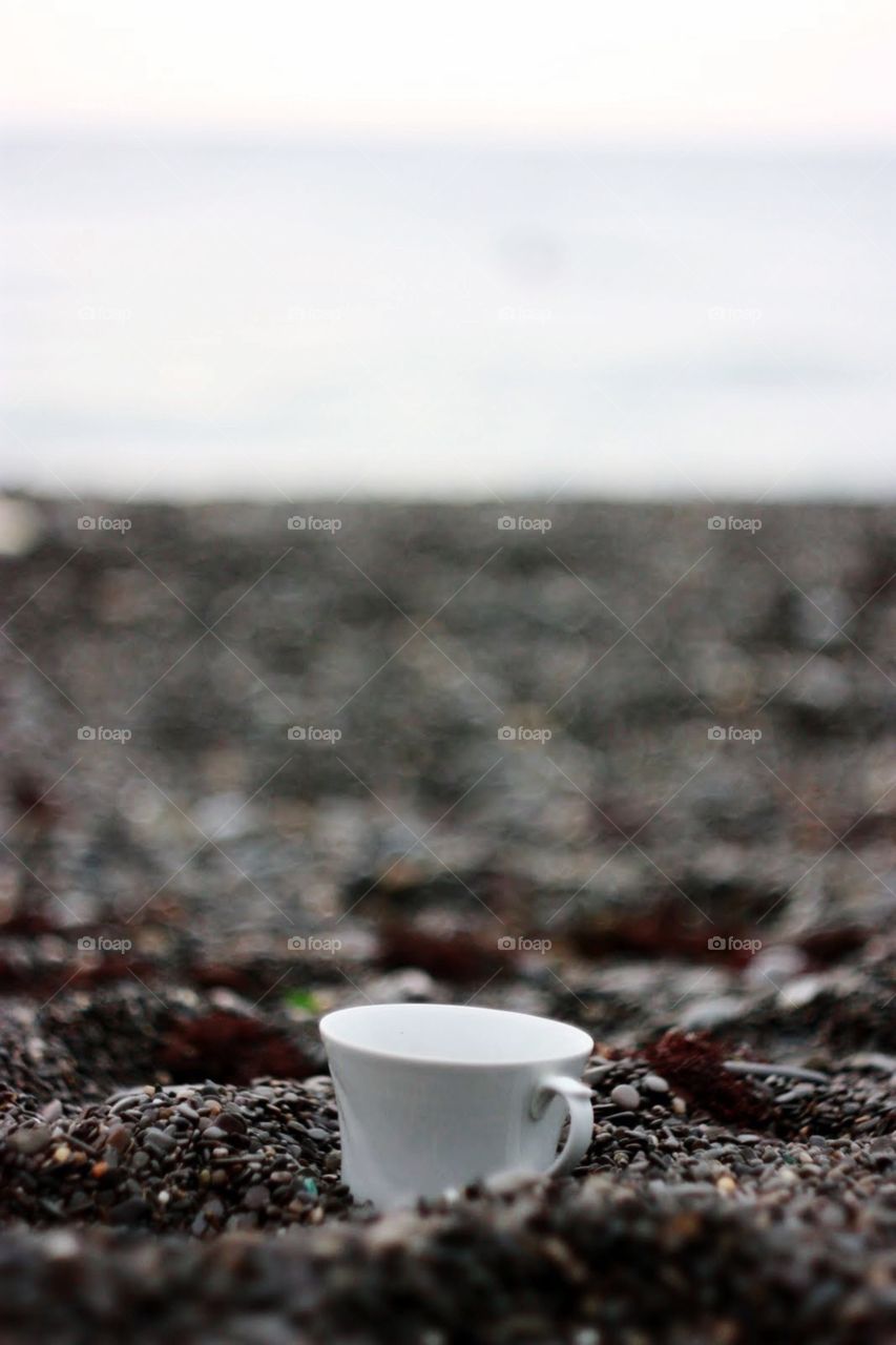 Coffee, No Person, Nature, Soil, Desktop