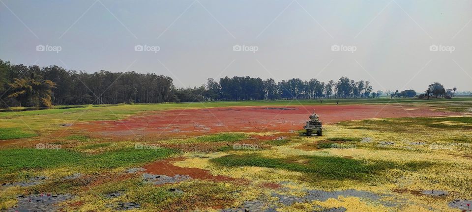 let's soothe eyes👀