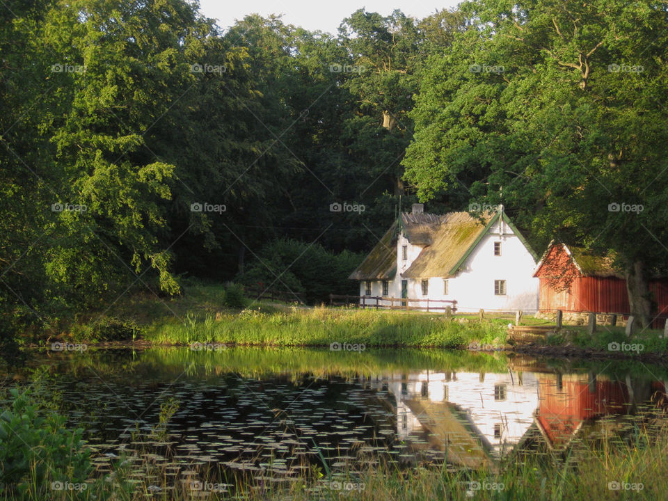 Idyllic house